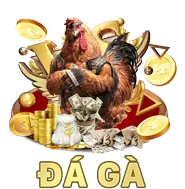 Khuyến mãi và ưu đãi độc quyền dk88 bet